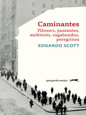 cover image of Caminantes